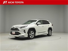 RAV4 G