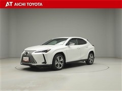 UX300h グレイスフルエクスプロ