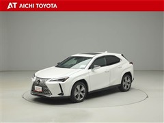 UX300h グレイスフルエクスプロ