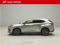 NX300 クール&ブライト