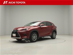 NX300 Iパッケージ