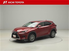 NX300 Iパッケージ