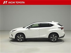 NX300 スパイス&シック