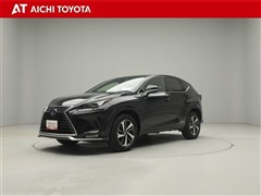 NX300h スパイス&シック