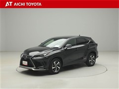 NX300h スパイス&シック