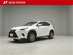 NX300h Iパッケージ