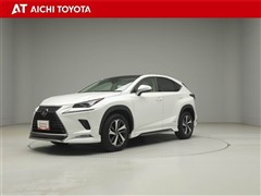 NX300h バージョンL