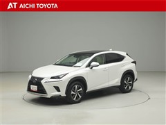 NX300h バージョンL