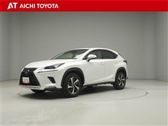 NX300h Iパッケージ