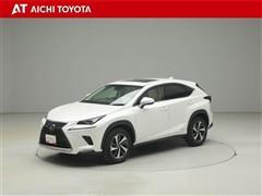 NX300h Iパッケージ