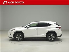 NX300h Iパッケージ