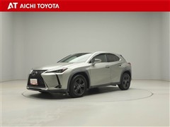 UX250h ブラウン エデション