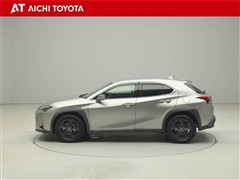 UX250h ブラウン エデション