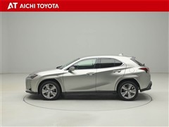 UX200 グレイスフル エクスプロ