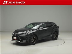 NX300h スパイス&シック