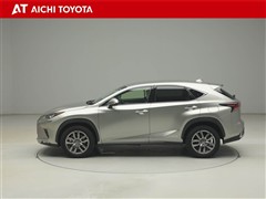 NX300h バージョンL