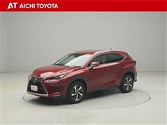 NX300 Iパッケージ