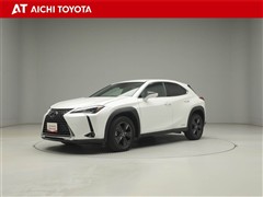 UX250h バージョンC