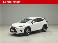NX300h バージョンL