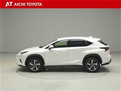 NX300h バージョンL