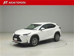 NX300h バージョンL