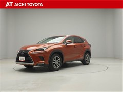 NX300 バ-ジョンL