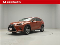 NX300 バ-ジョンL