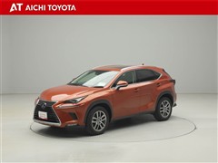 NX300 バ-ジョンL