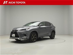 NX300 スパイス&シック