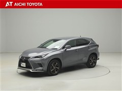 NX300 スパイス&シック