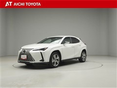 UX250h グレイスフル エクスプ