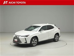 UX250h グレイスフル エクスプ