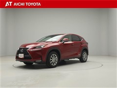 NX300h ヒョウジュン