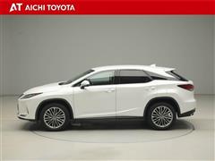 RX300 ヒョウジュン