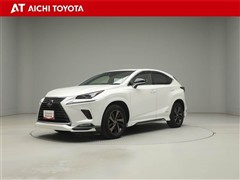 NX300h スパイス&シック