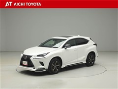 NX300h スパイス&シック