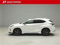 NX300h スパイス&シック