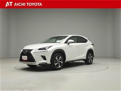 NX300h バージョンL