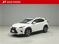 NX300h バージョンL