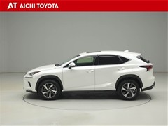 NX300h バージョンL