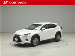 NX300h Iパッケージ