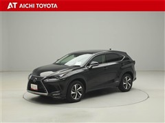 NX300h バージョンL