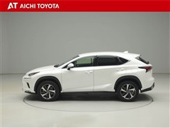 NX300h Iパッケージ