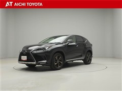 NX300 バージョンL