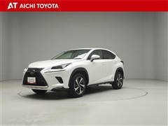 NX300h Iパッケージ