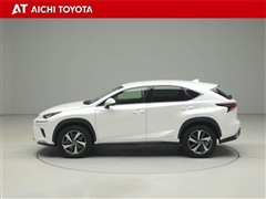 NX300h Iパッケージ