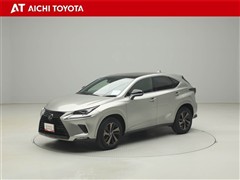 NX300 ブロンズエディション