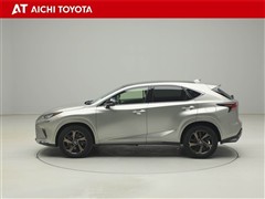 NX300 ブロンズエディション