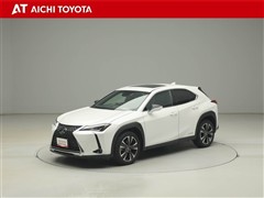 UX250h バージョンC