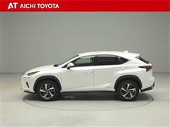 NX300h バージョンL